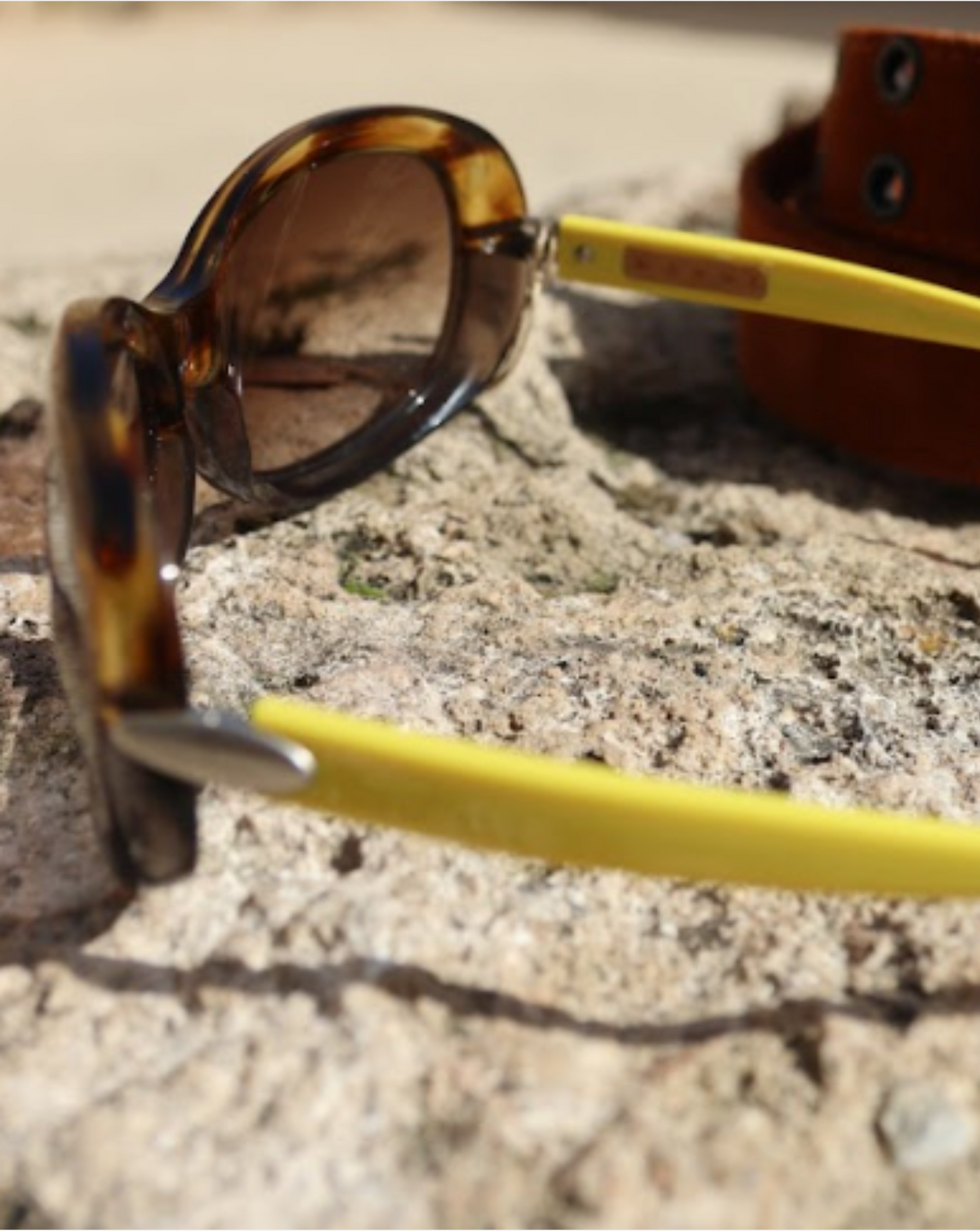 Tortoiseshell Sunglasses